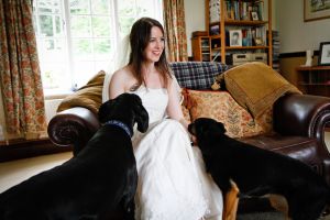 bride-dogs.jpg