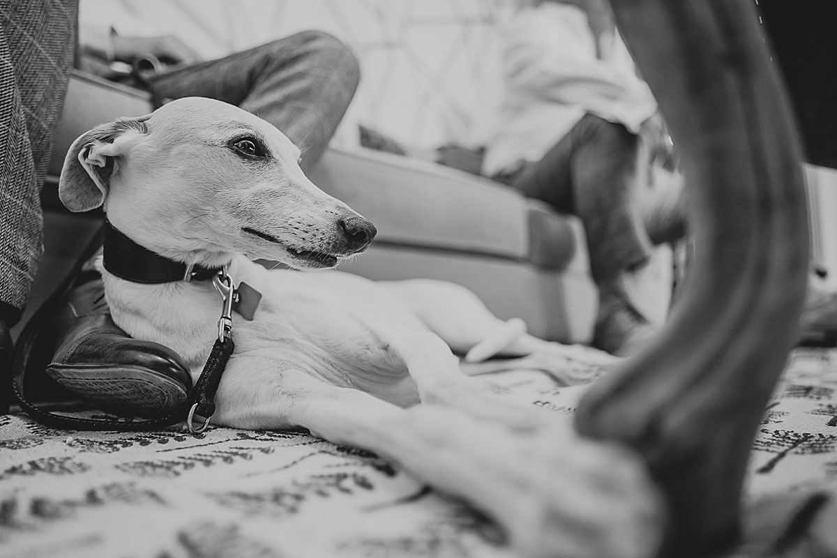 doxford-farm-wedding-photography_8