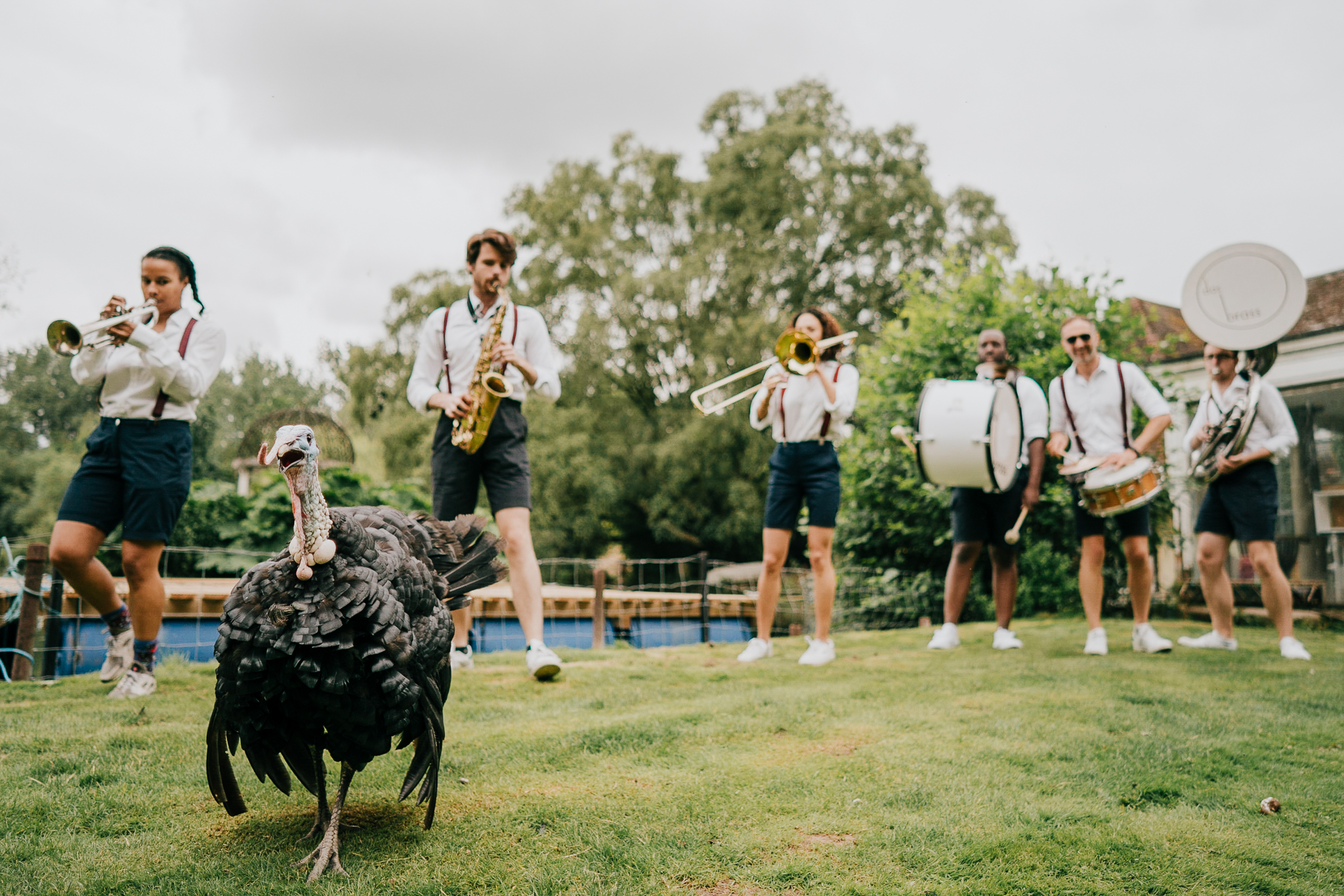 baldock-wedding-photographer 3 – Alan Law Photography A turkey walks by as a brass band play in the background.