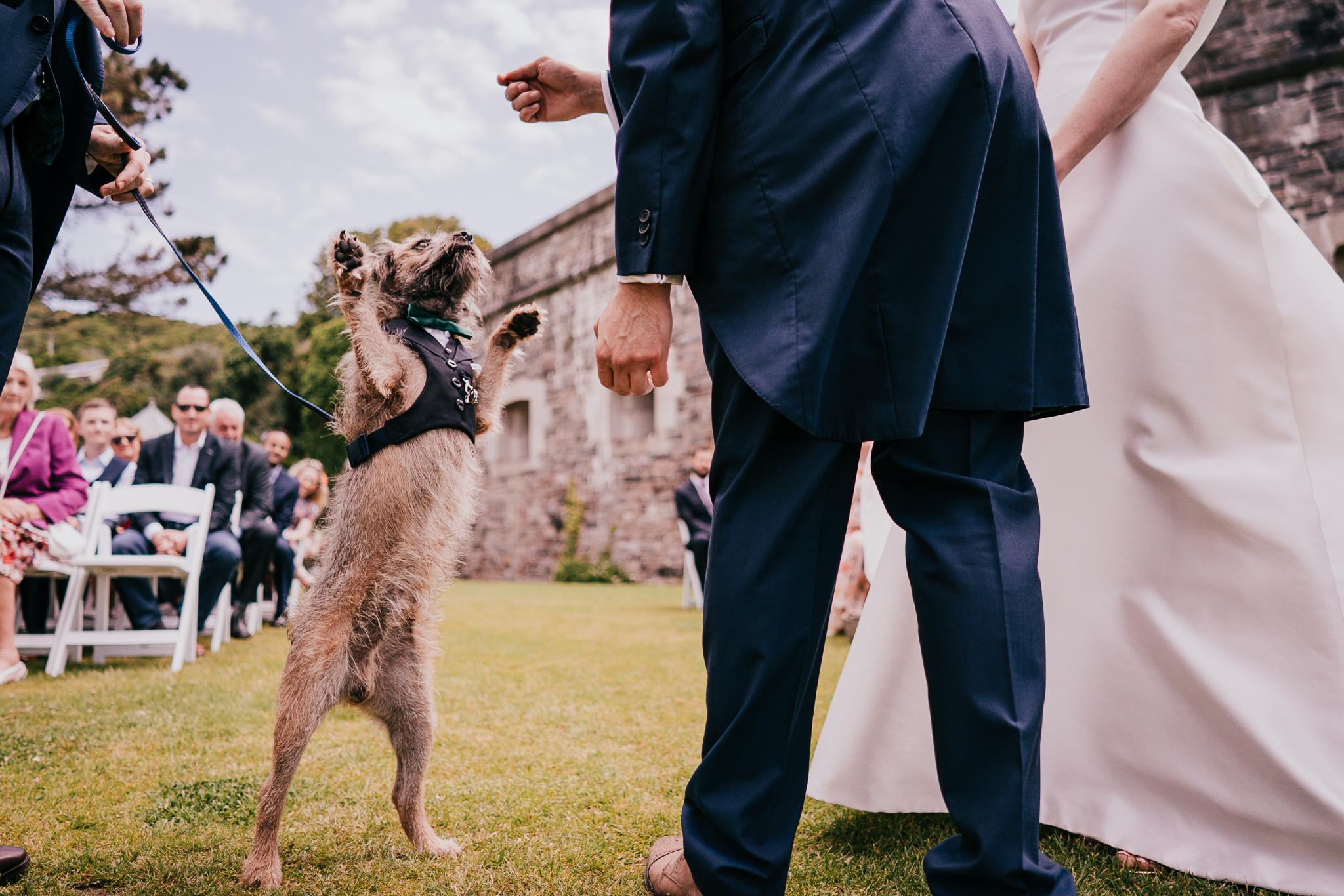 polhawn-fort-wedding-photography 3 – Alan Law Photography The bride and groom's dog delivers the rings at their outdoor ceremony at Polhawn Fort.