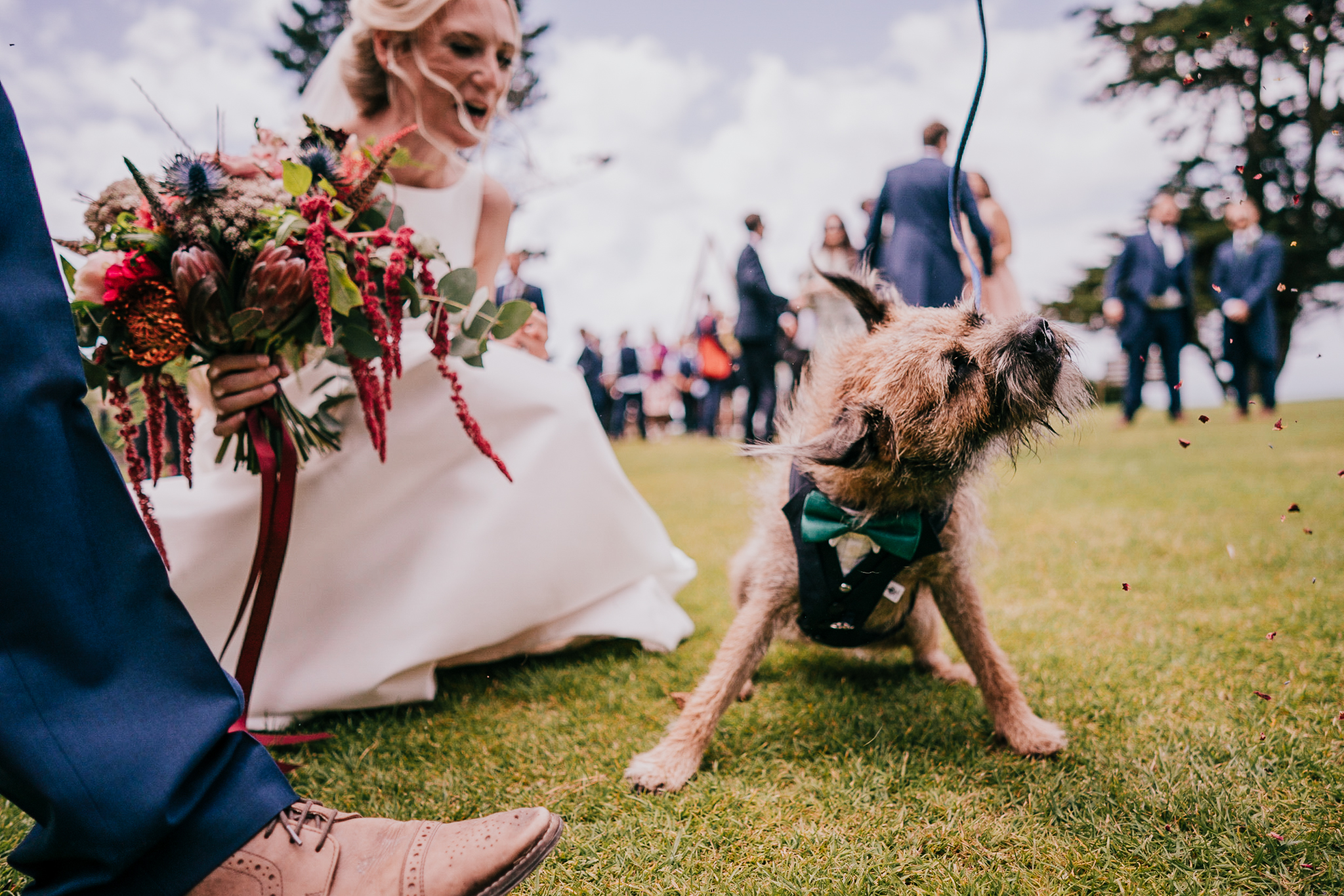 polhawn-fort-wedding-photography 5 – Alan Law Photography The bride and groom's dog shakes off confetti at Polhawn Fort.
